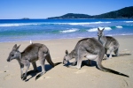 De mooiste stranden van Australie